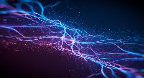Le implicazioni della plasticità sinaptica diversificata in comunicazione e formazione